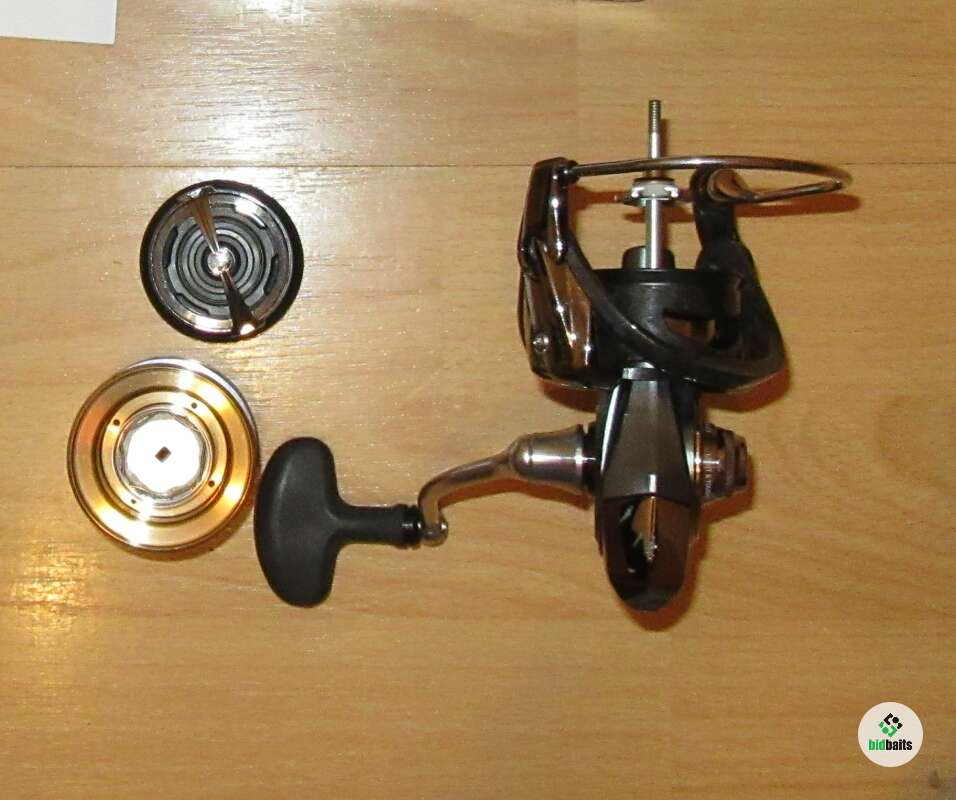 Daiwa Luvias Lt Cxh