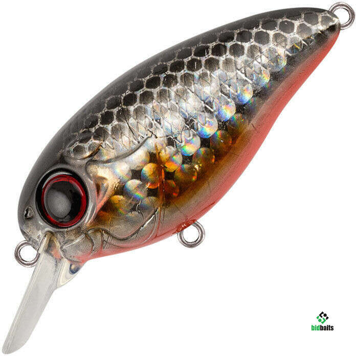 Воблер tsuyoki swing 50f цв 034r. Воблер tsuyoki swing 50f цв 034r. Рок н ролл 70. Воблер тсуеки 50ф. Воблер tsuyoki swing 50f цв 034r.