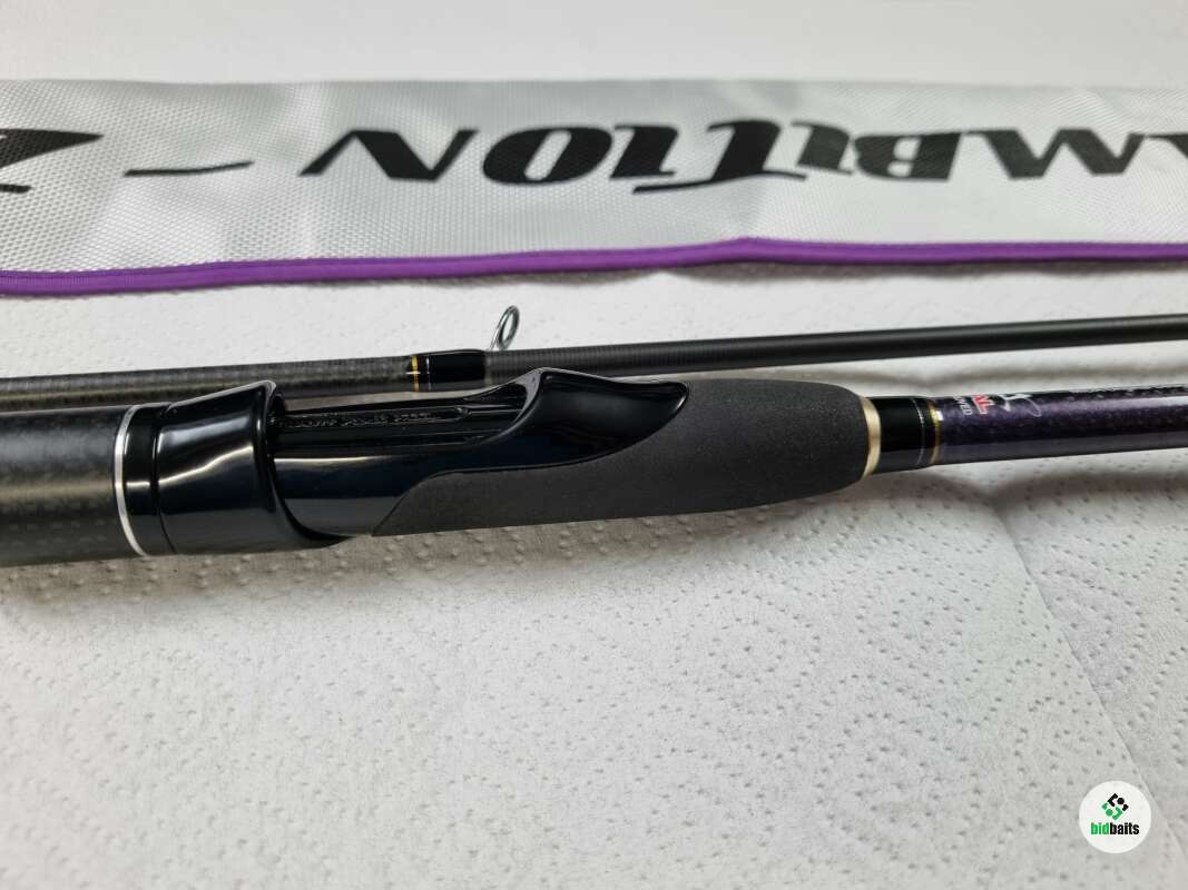 Купить Спиннинг Zetrix AMBITION-Z ZZS-862MH, 2.59 м, 10-38 гр по