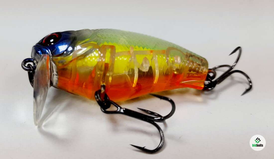 Megabass PopMax Gin Tonic Tiger