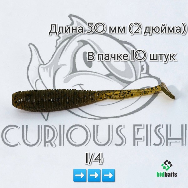 Купить Curious Fish MORA SHAD 2 дюйма по цене 149 руб.